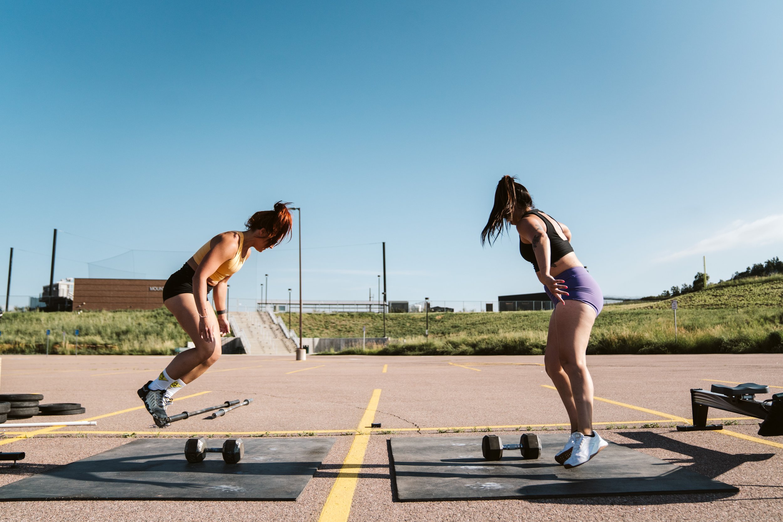 THE PURPLE MOUNTAIN THROWDOWN