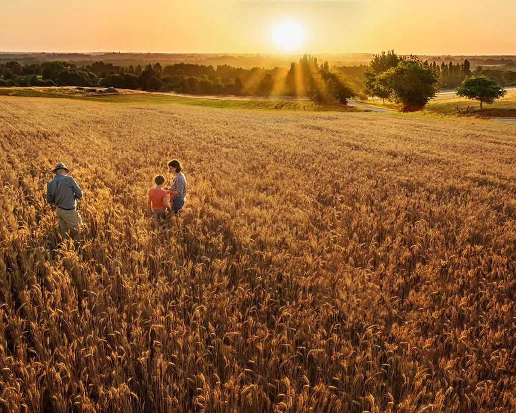 Tips for managing stress during harvest season