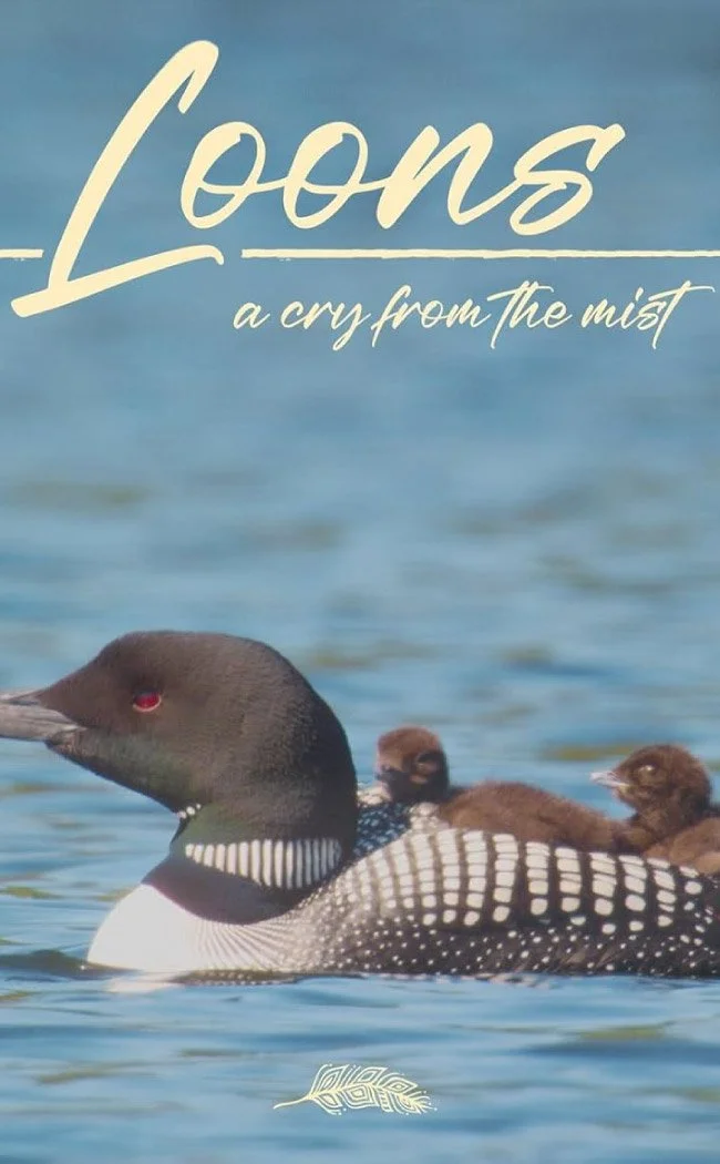 Loons-A-Cry-From-The-Mist.jpg