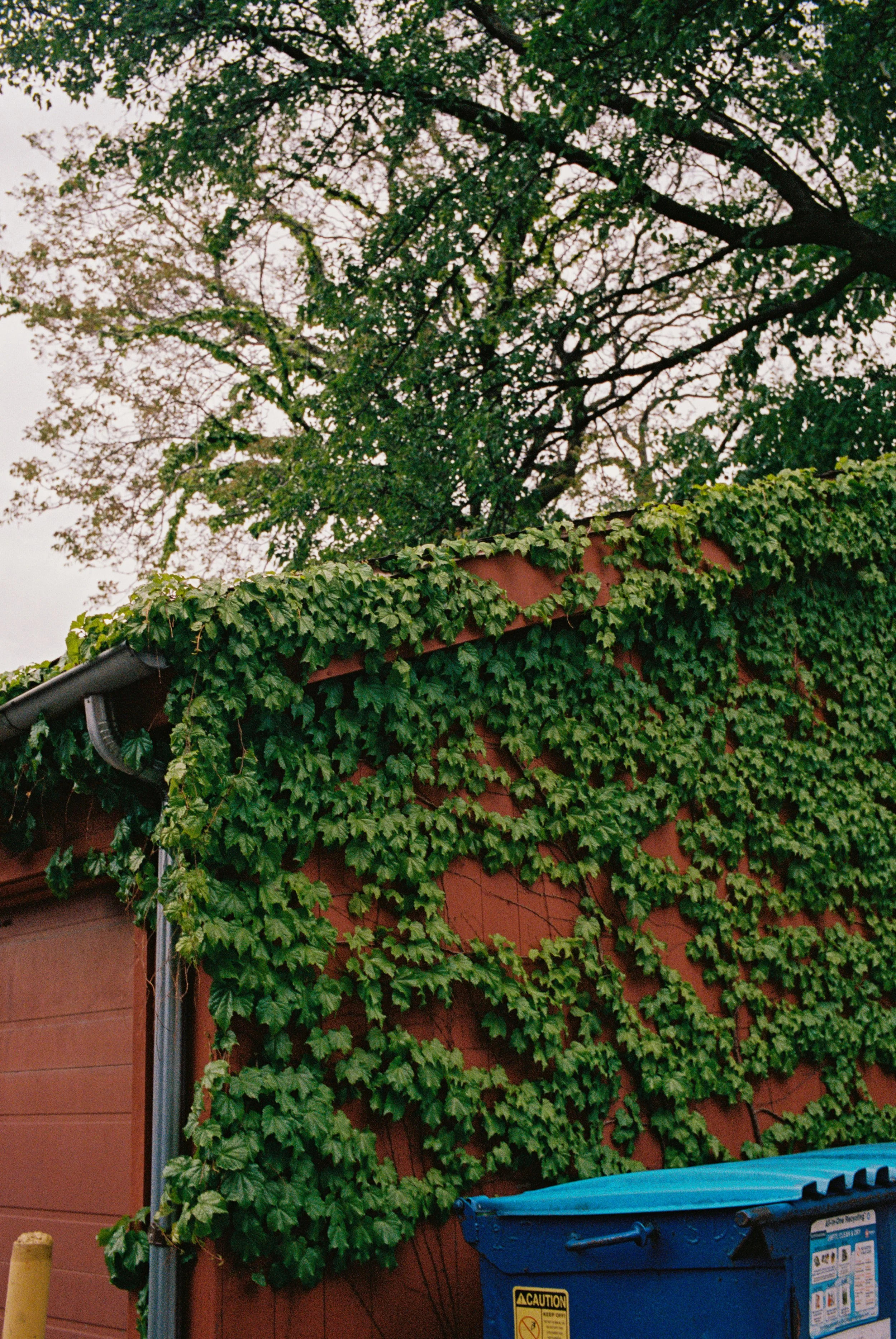 may-2026_leicam6-35mm-best-shots_gh-website-2.jpg