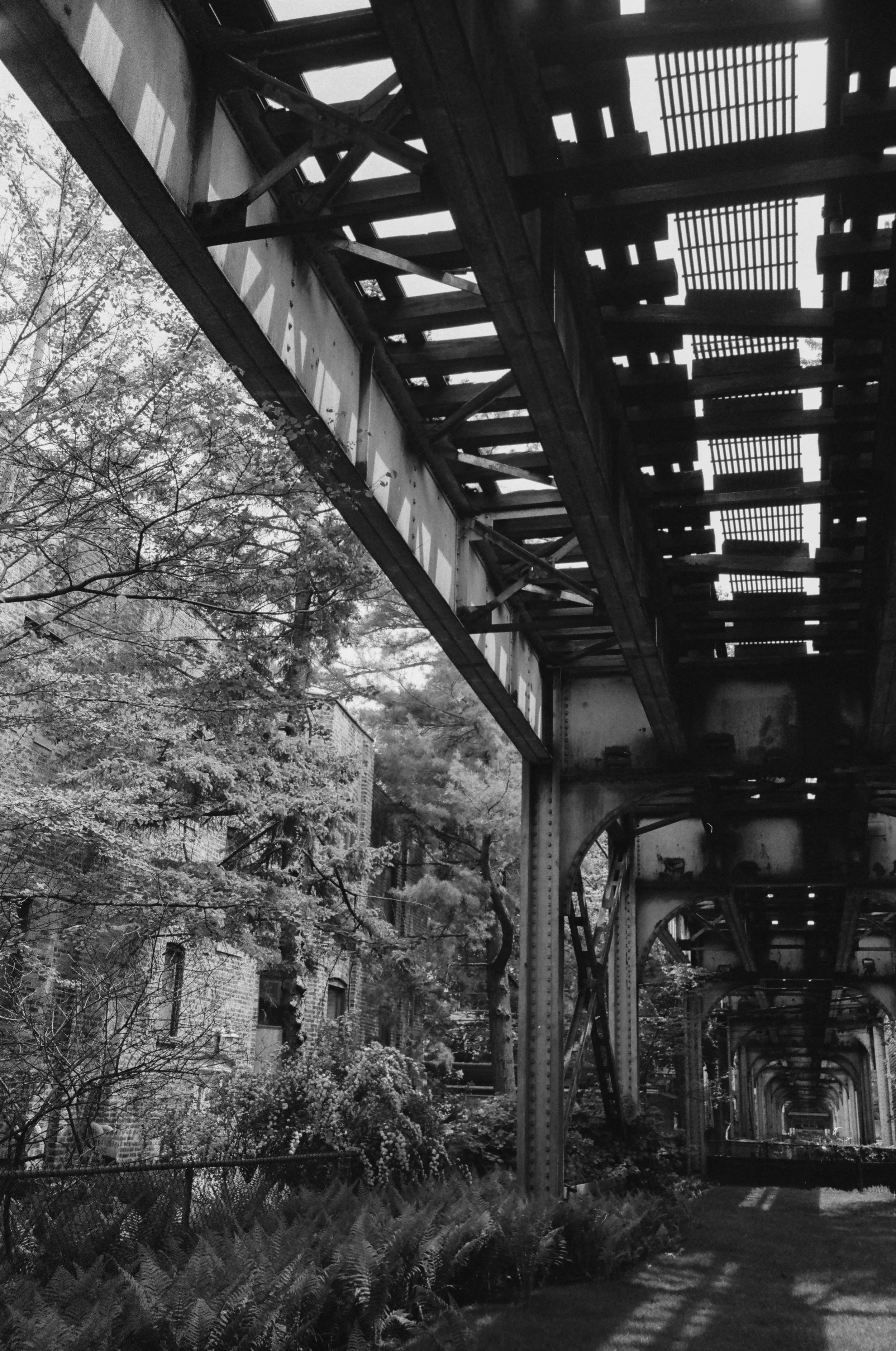 HP5-400-ro3_M6-apr2026-11.jpg