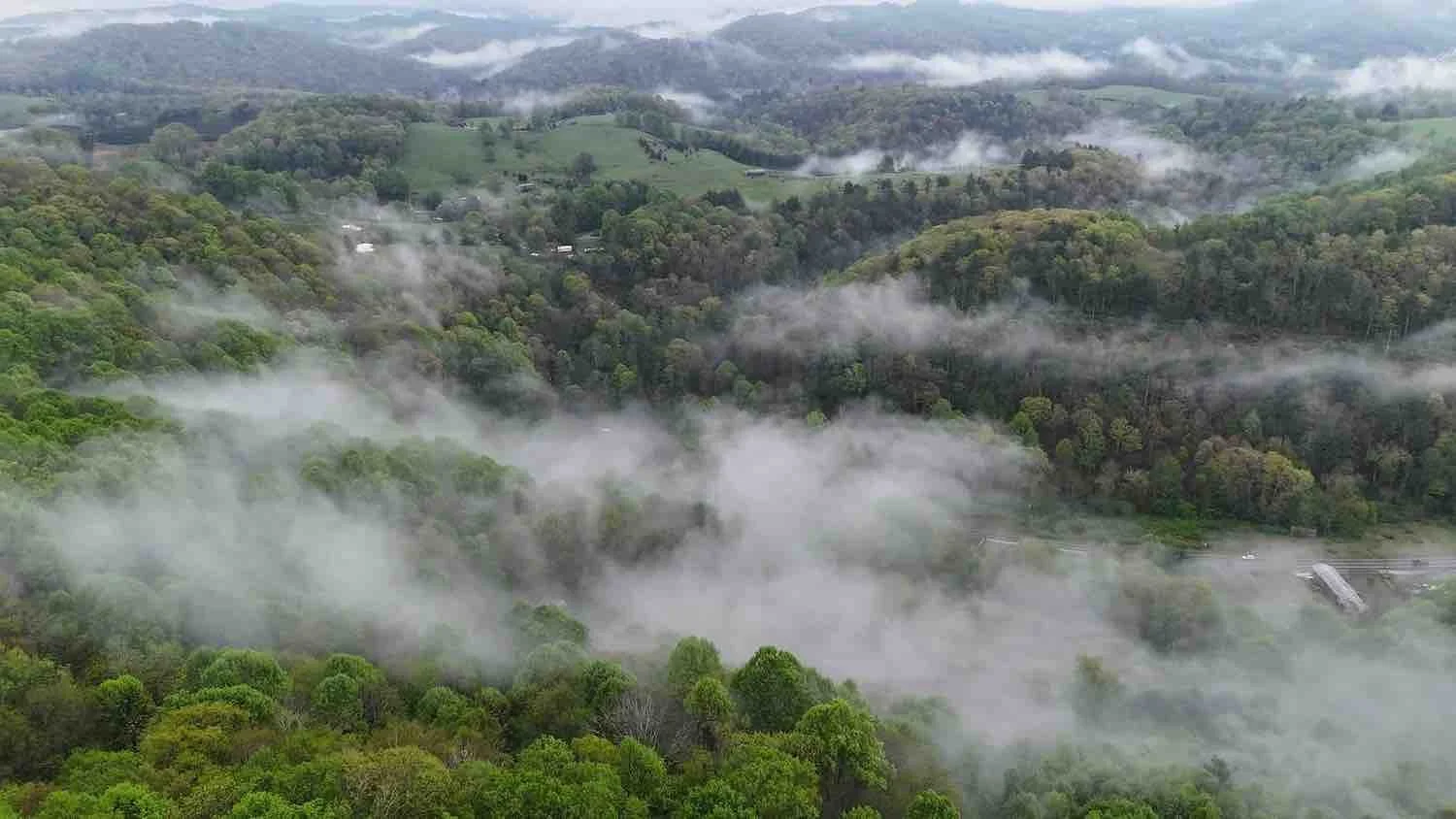 53697610162_2a2f580e09_k_compressed 1.jpg