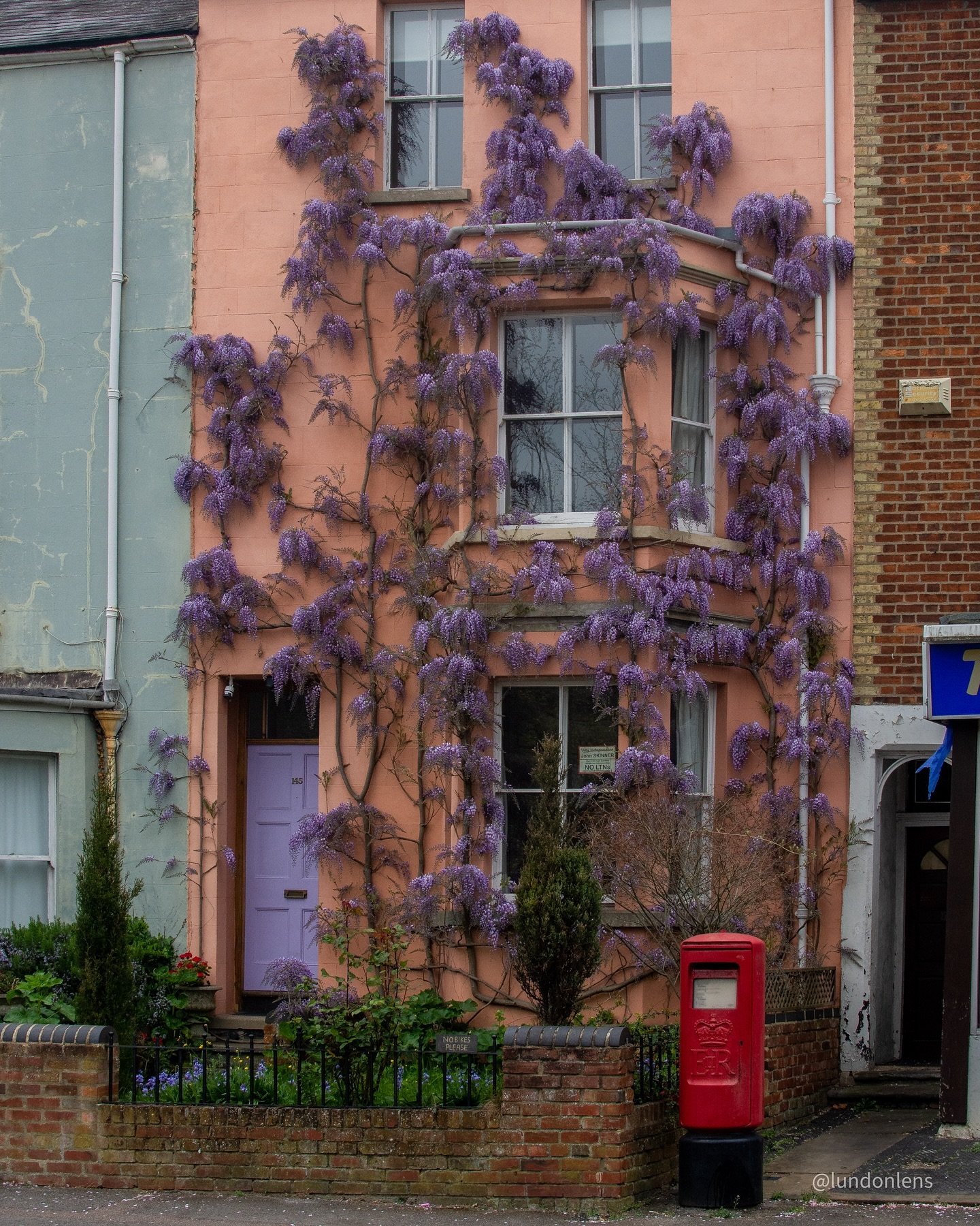 🧡💜🧡💜 The Orange and purple looks good on this house in Oxford 😍🏴󠁧󠁢󠁥󠁮󠁧󠁿
&bull;
&bull;
#oxford #oxfordshire #oxfordcity #wisteria #wisteriaflowers #house #houses #houses_phototrip #wisteriahysteria #garden #gardening #gardendesign #lundonle