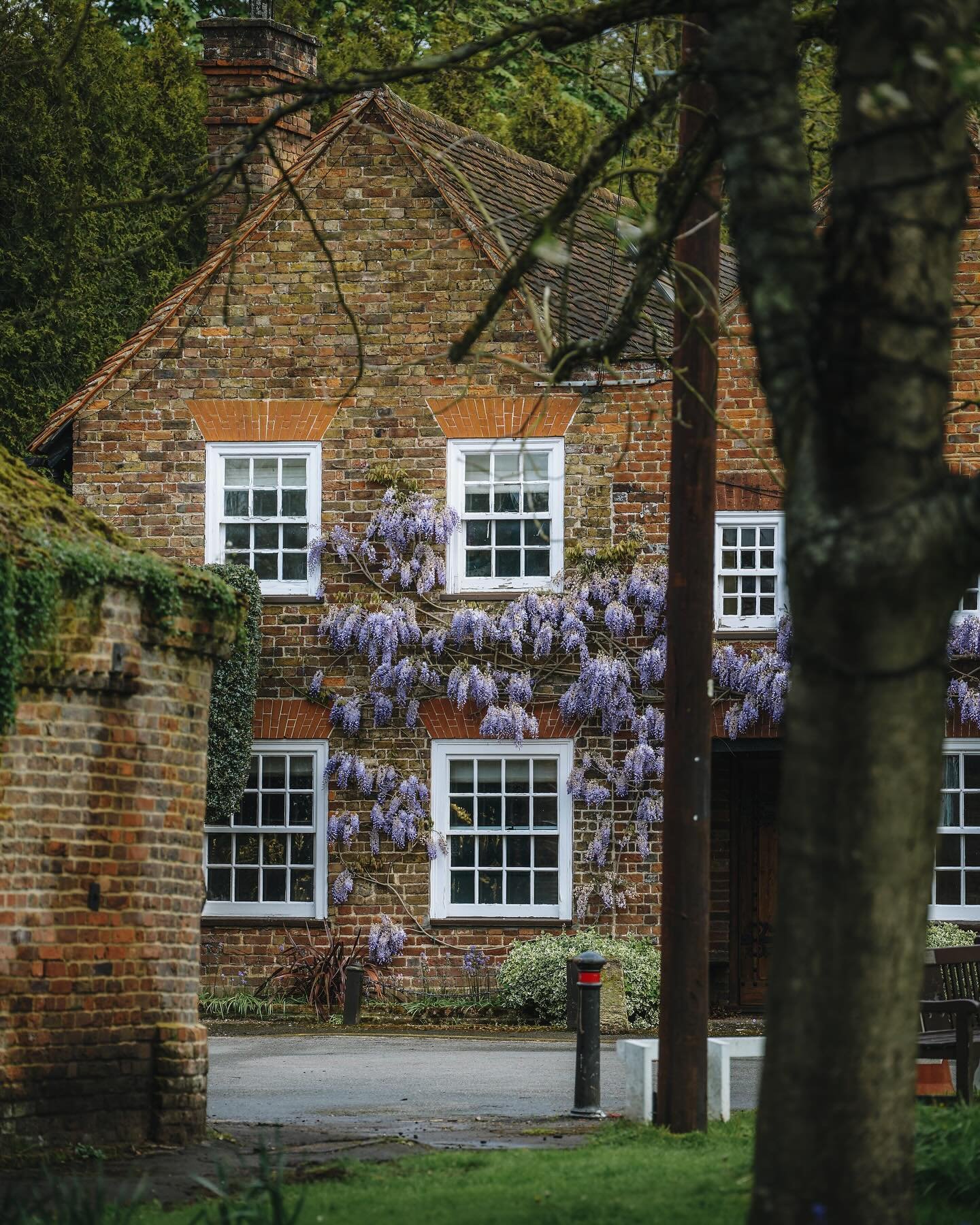 The picturesque village of Denham, Buckinghamshire. 😍💜🏡
Love the crooked covered wisteria cottages and little stream that runs through the village. 🌳
&bull;
&bull;
#village #villagelife #villages #buckinghamshire #england #englandphotography #eng