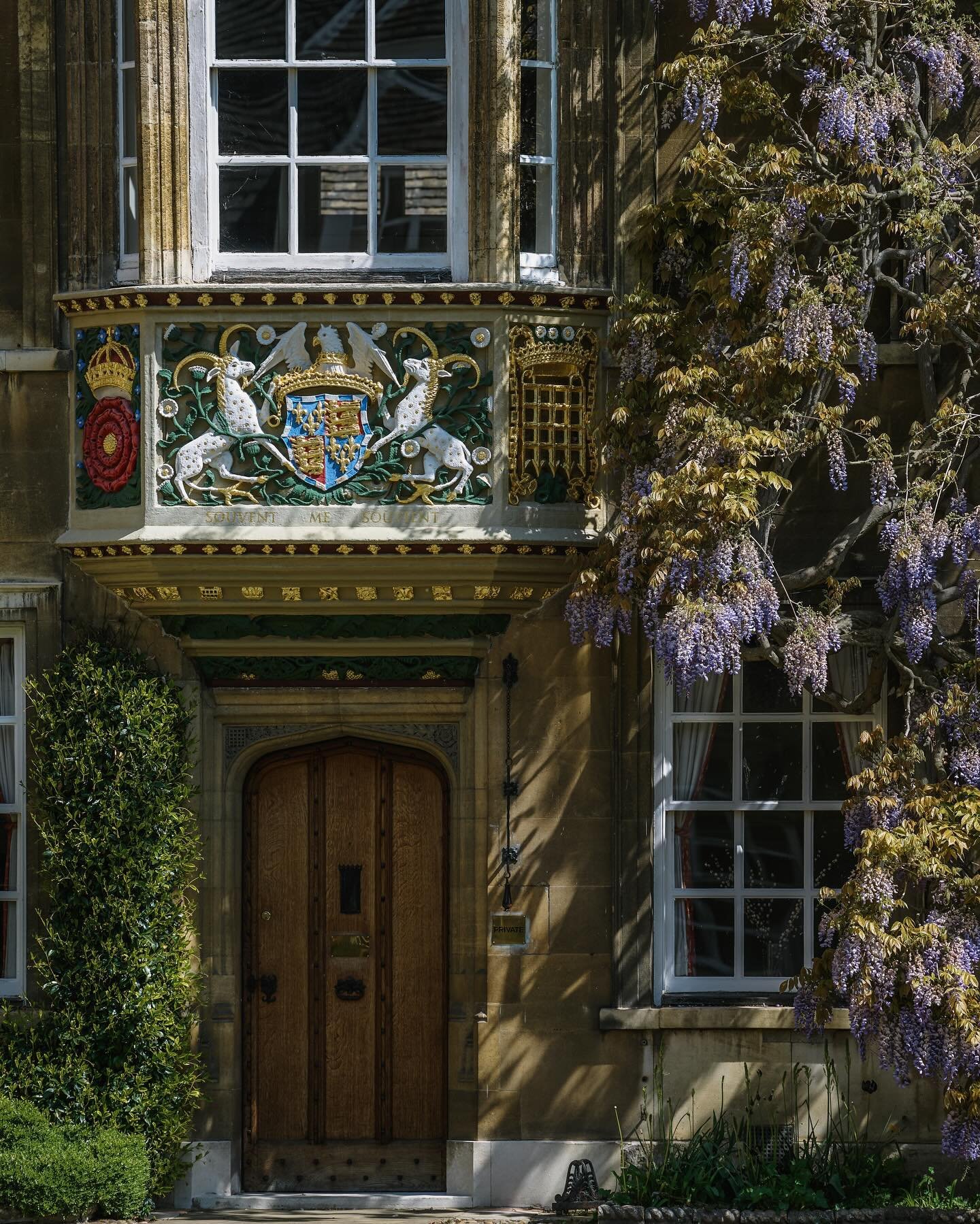 The beautiful blanket of wisteria covering the quad of Christ&rsquo;s College Cambridge. 💜🌳💚😍
&bull;
&bull;
#cambridge #cambridgeshire #cambridgeuniversity #cambridgephotography #photosofbritain #photosofengland #england #englandphotography #phot