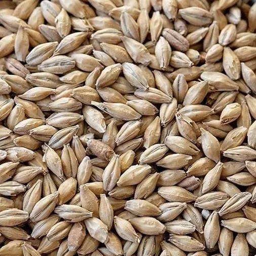 Regenerative Organic Certified® Pilsner