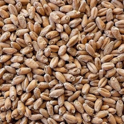 Warthog Wheat