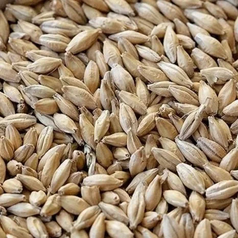 Regenerative Organic Certified® Pale