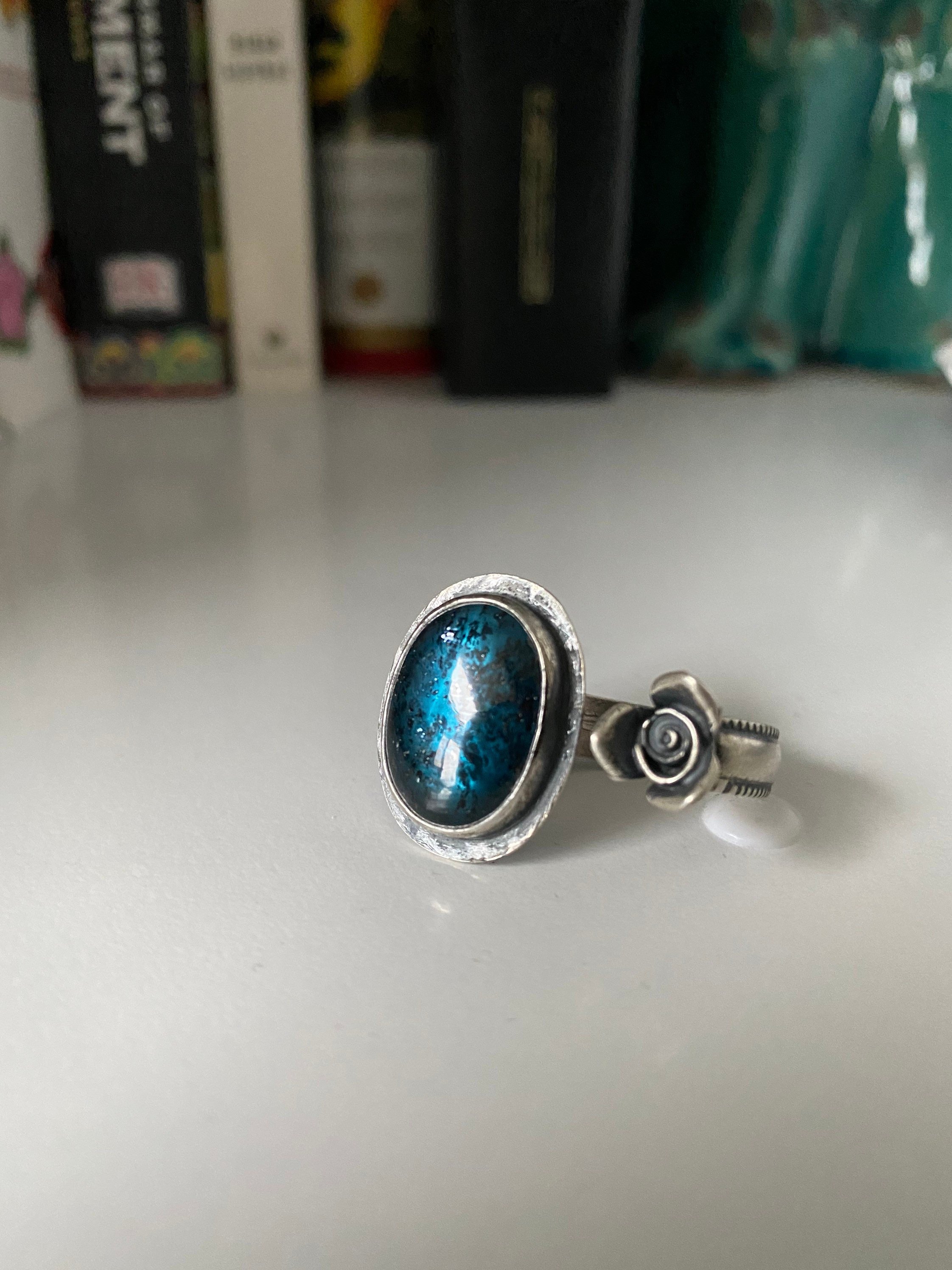 https://i.etsystatic.com/8548745/r/il/47e46f/3088971796/il_fullxfull.3088971796_jrmi.jpg