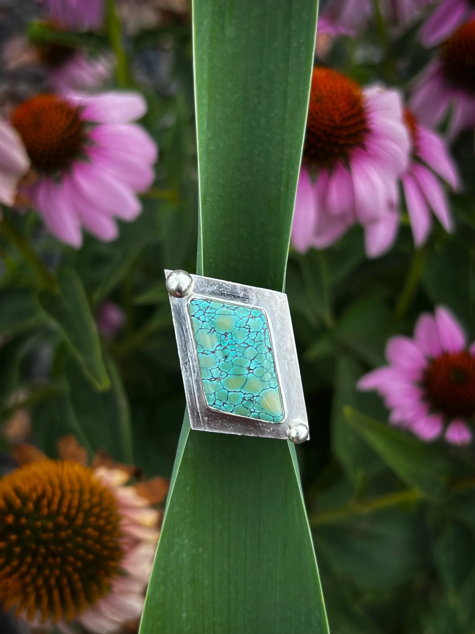 7401A5FD-28F9-4198-9C7C-CABB77E6AB37