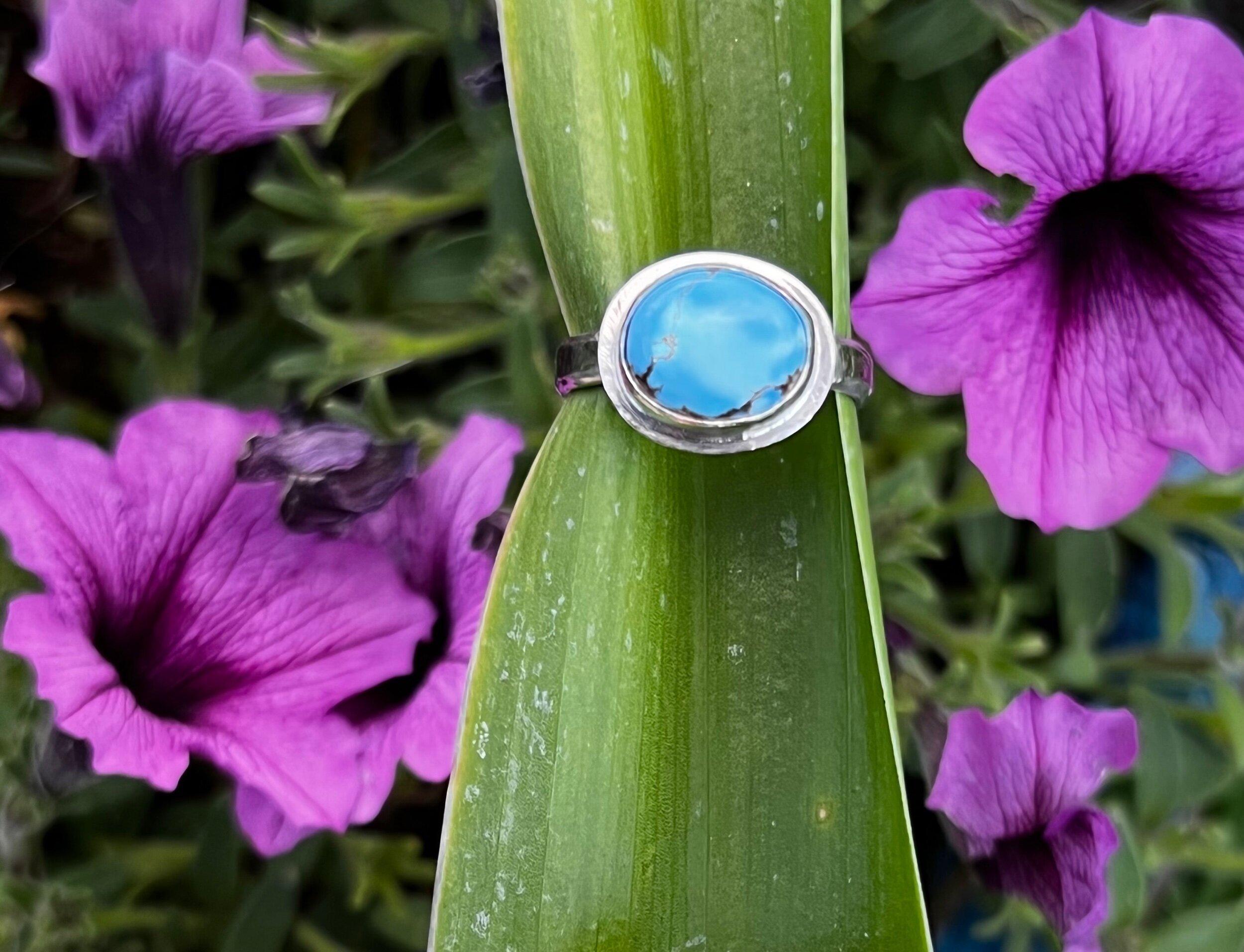 DC90BD4B-815E-47EC-8D32-3C6E875F3C1B