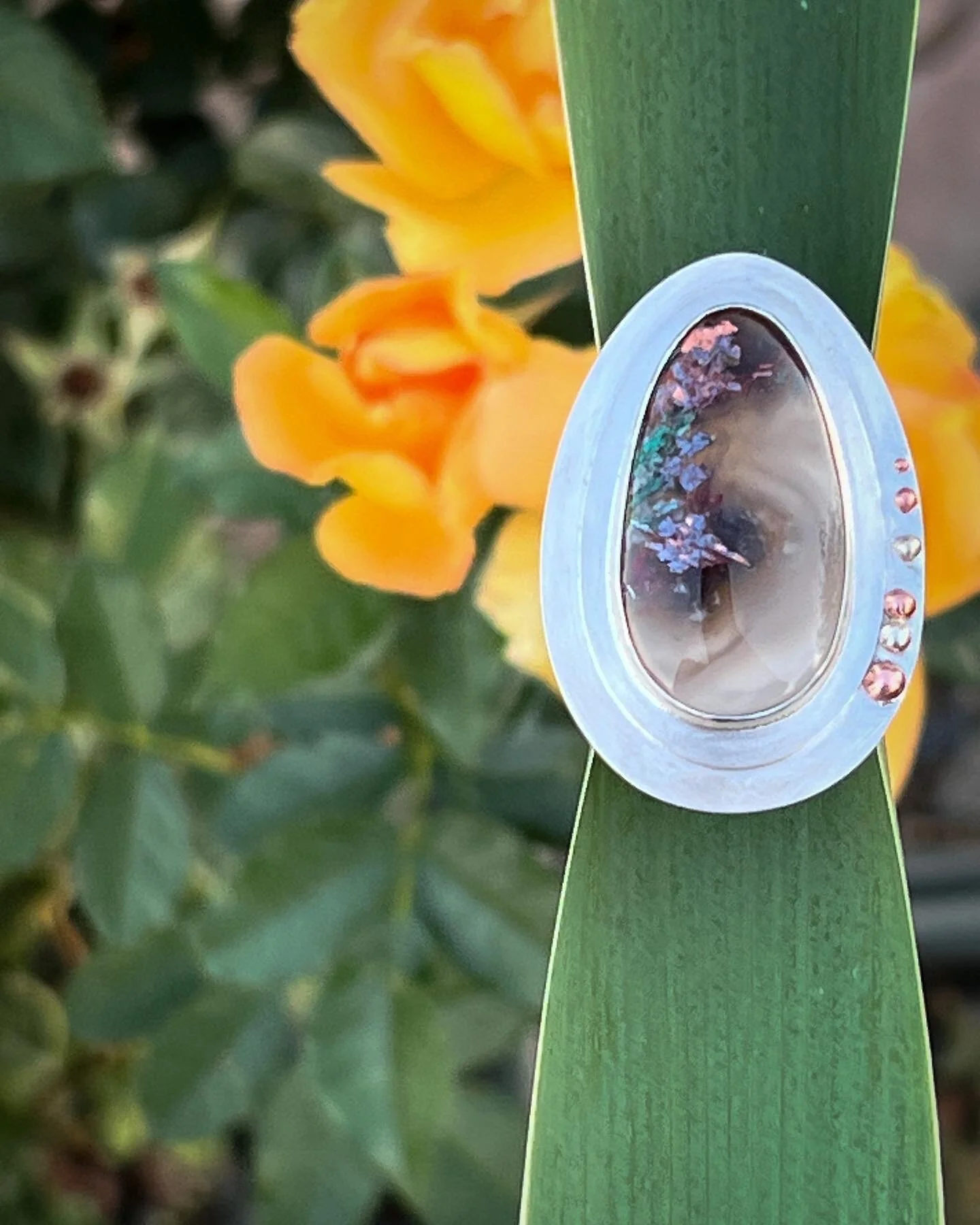 27D596F0-931A-4F34-95AB-0D0BF2C39EC6