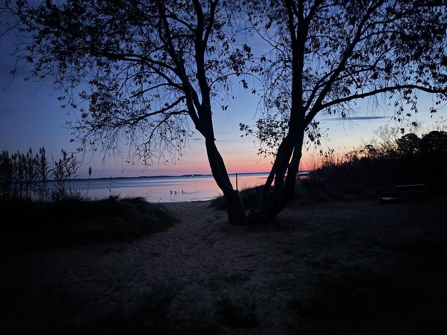 This past weekend I woke up early to catch the sunrise. I forgot how beautifully magical this time of day can be. Anything is possible. I wrote a book back in February and have been putting off illustrating it all year. The sunrise reminded me that y