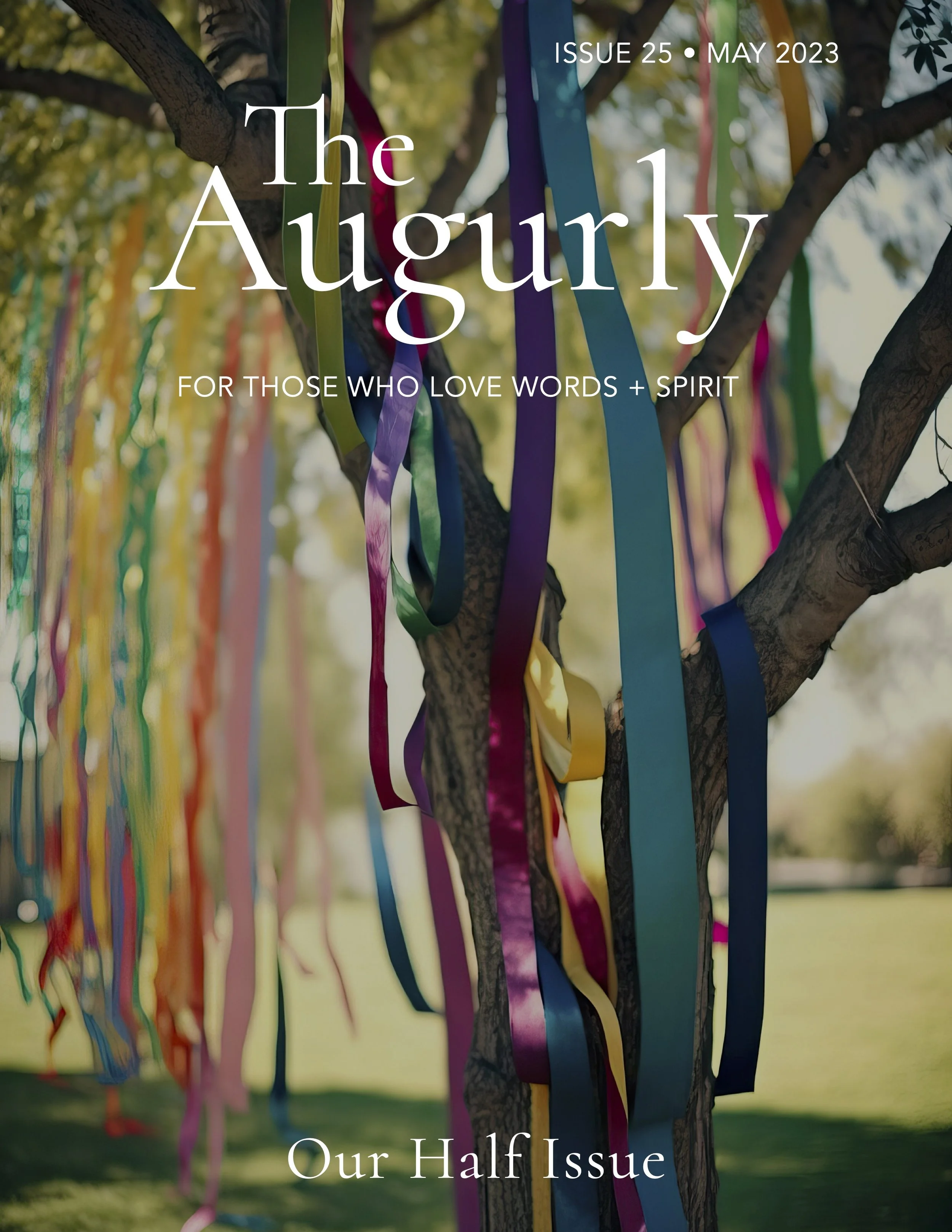 Issue Twenty Five.jpg