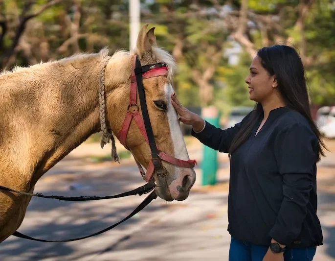 woman petting horse