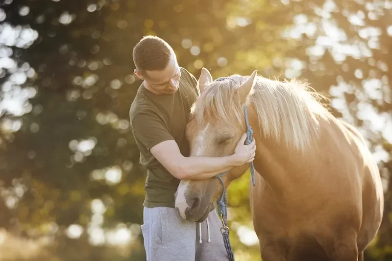 man with horse