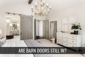 Are Barn Doors Still In?
