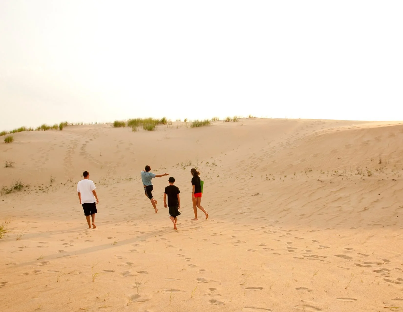 Shifting Sands – The Living Landscape of Jockey’s Ridge — Danielle Taylor