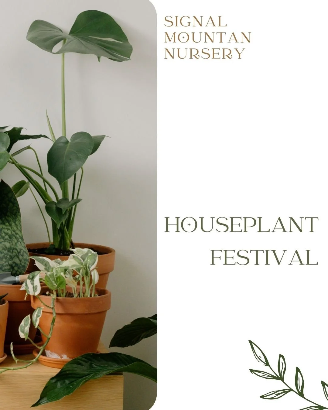 Houseplant Festival