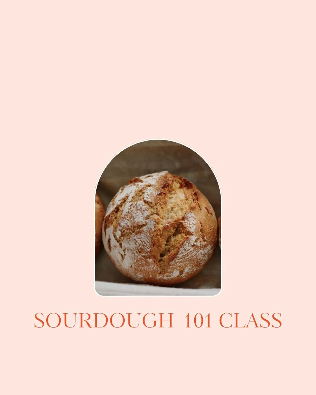 Sourdough 101 Class