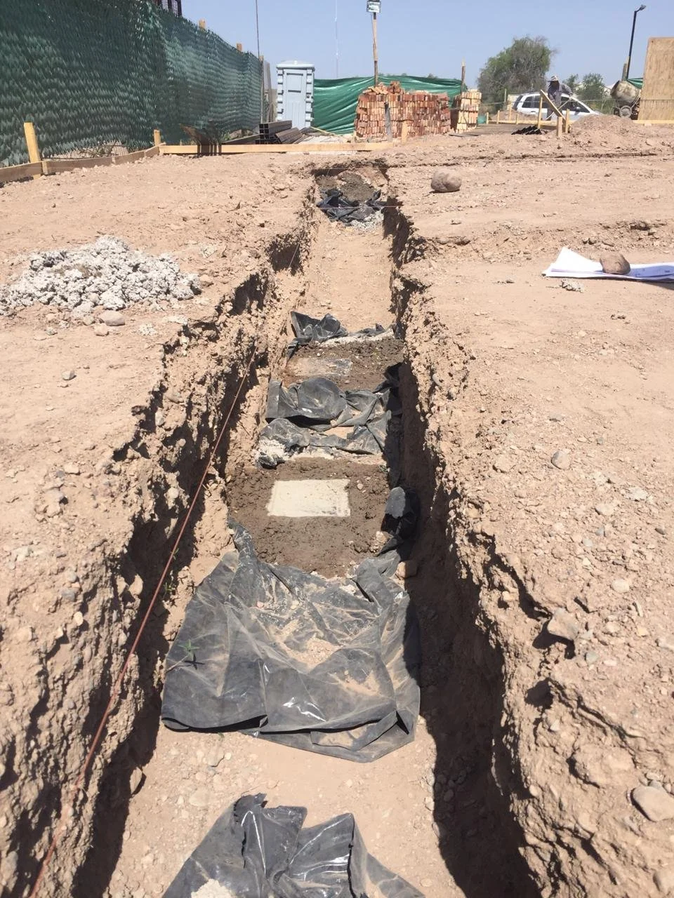 PHOTO-2020-03-10-21-09-46 3.jpg