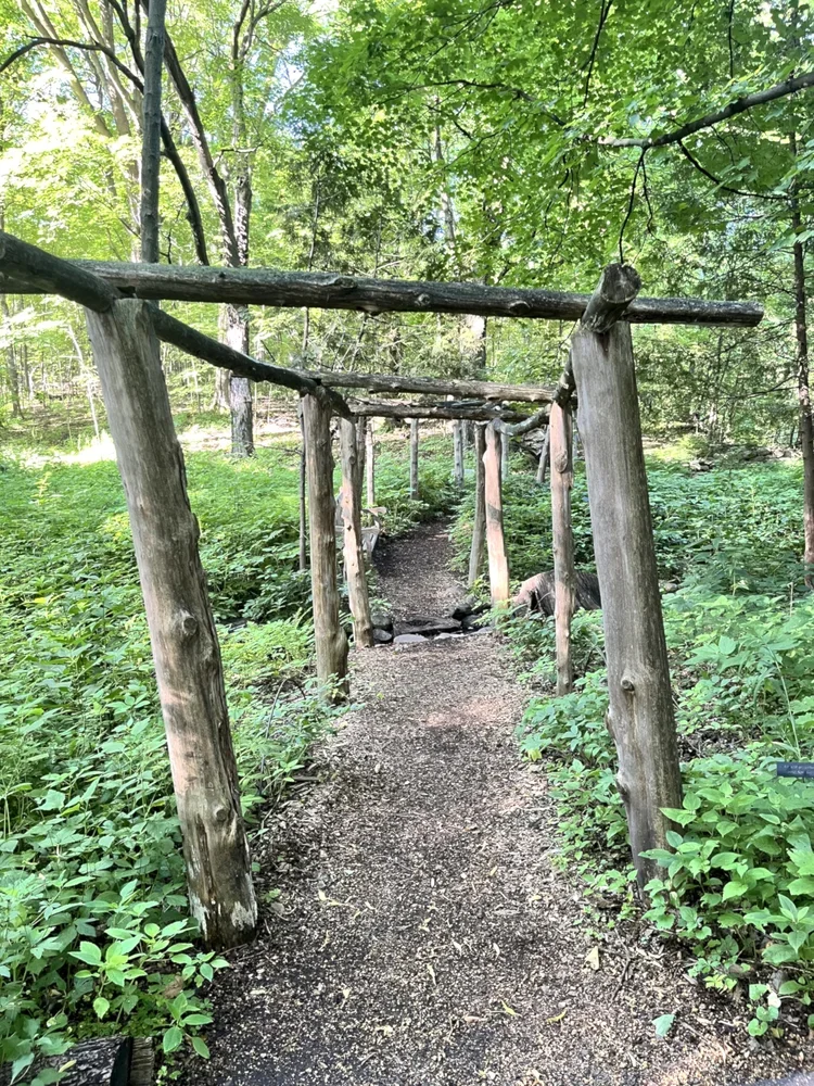 the gifts of quiet
