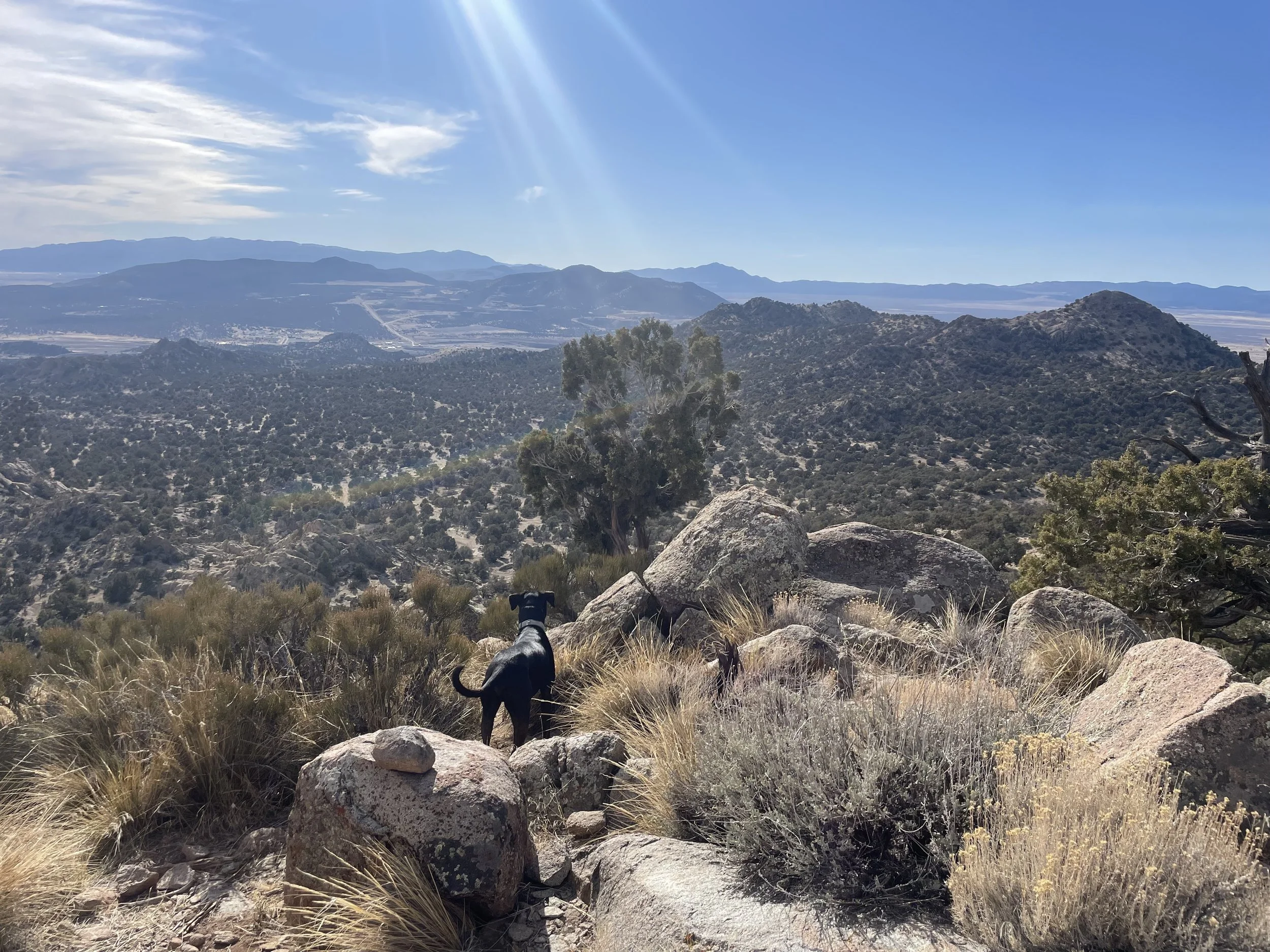 I didn’t want to run today