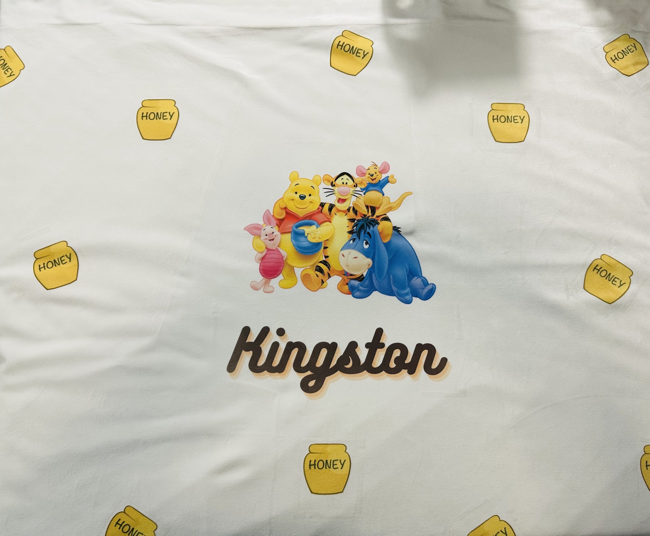 Custom Baby Minky Blanket