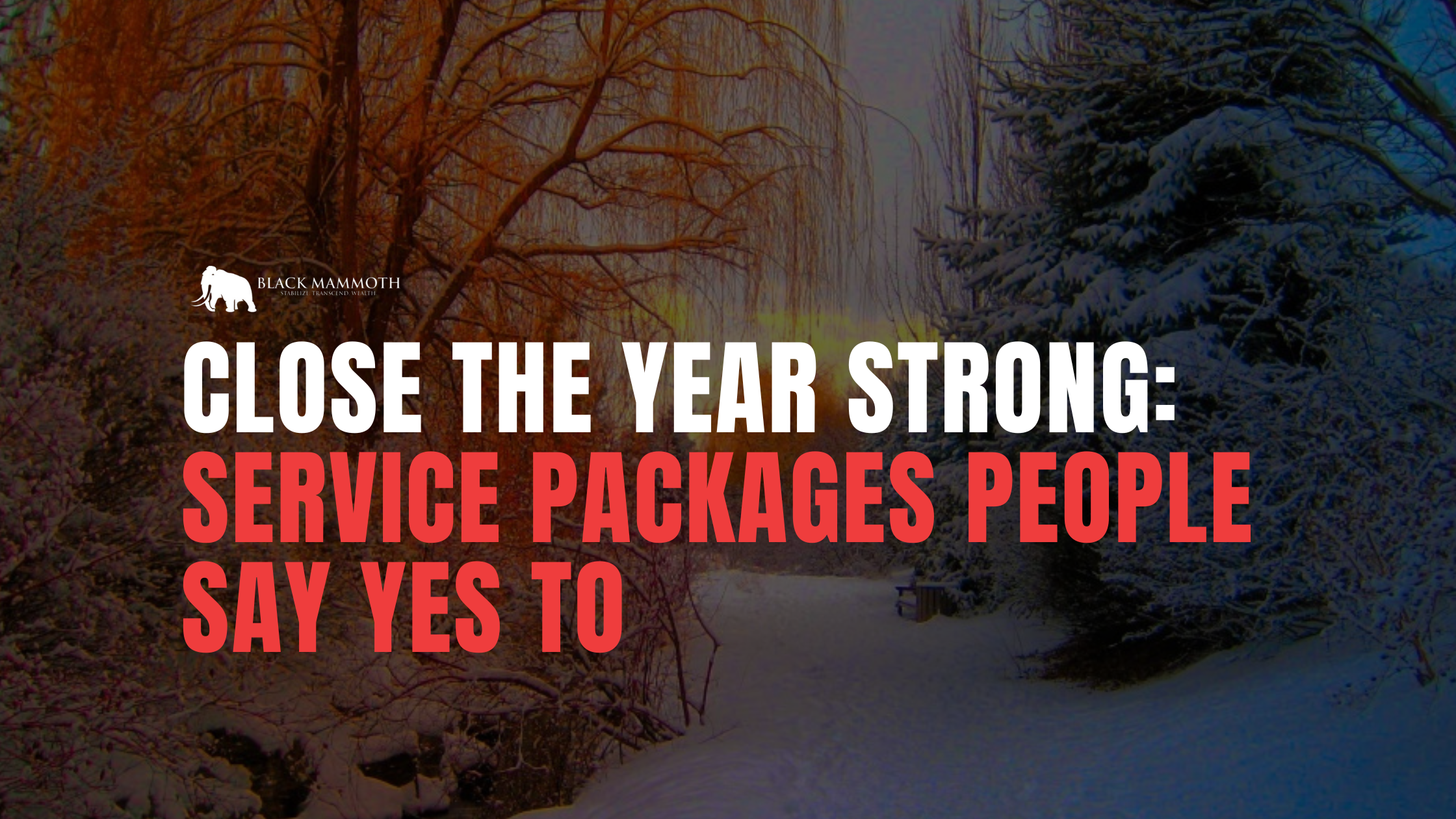 Close the Year Strong: Service Packages People Say Yes To — Black ...