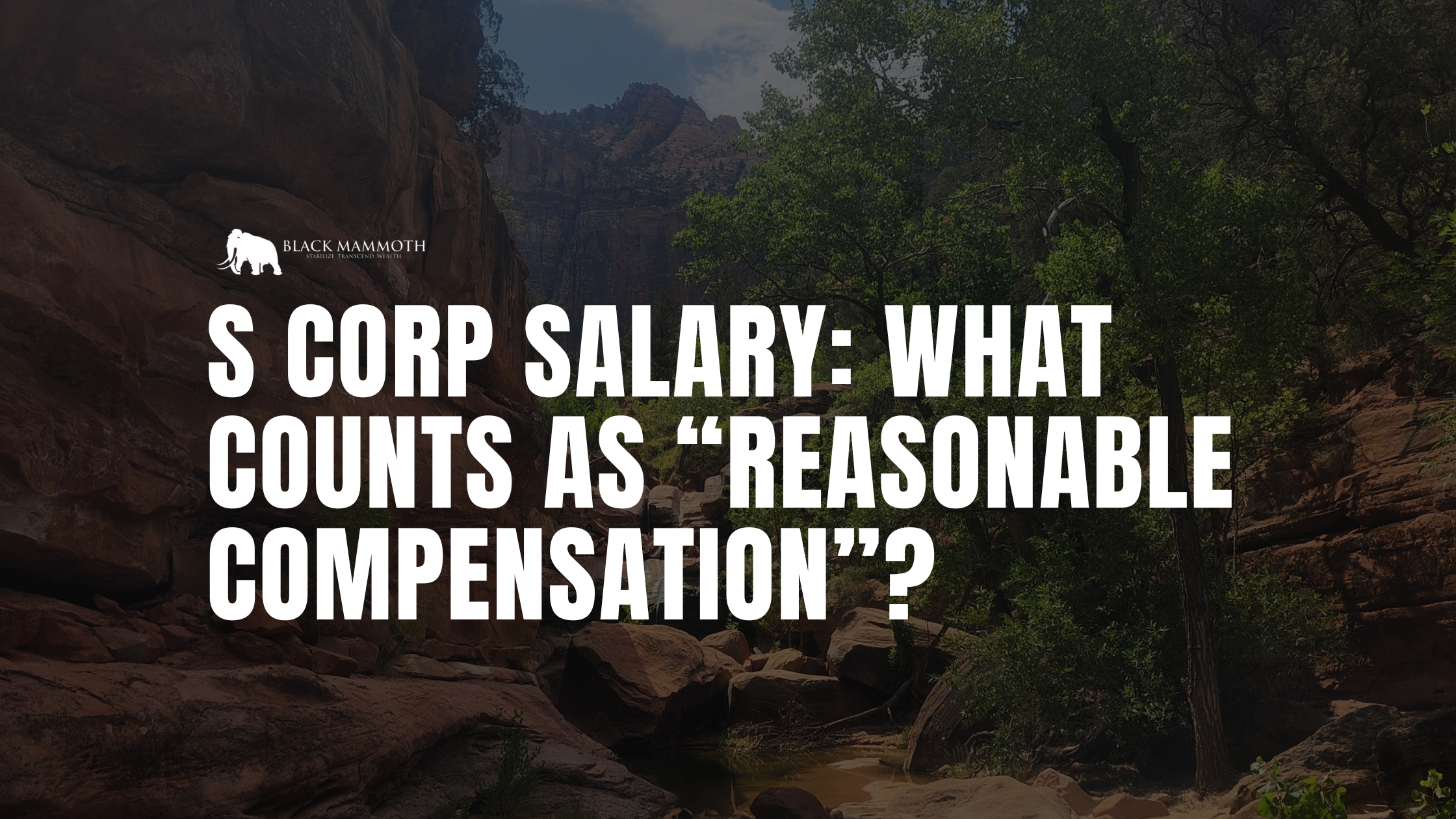 S Corp Salary: What Counts as “Reasonable Compensation”? — Black ...