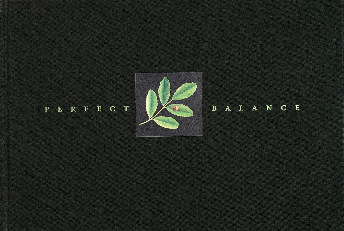 Perfect Balance cover.jpg