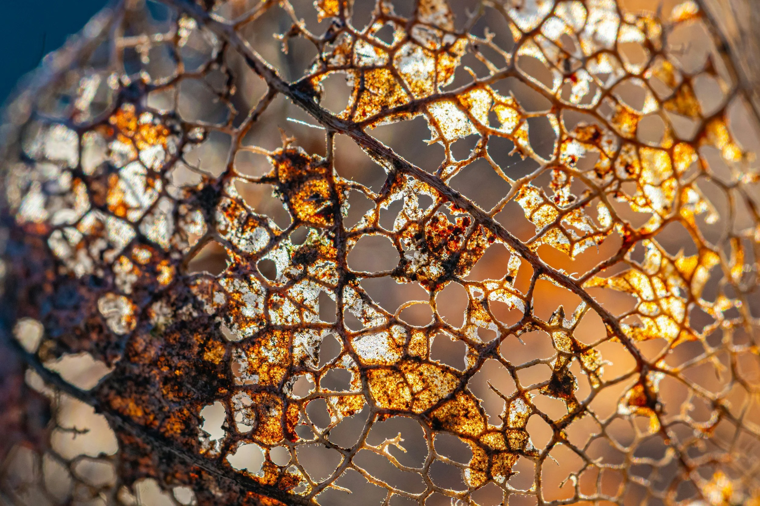 If Last Year Almost Broke You: A Gentle Beginning for the New Year