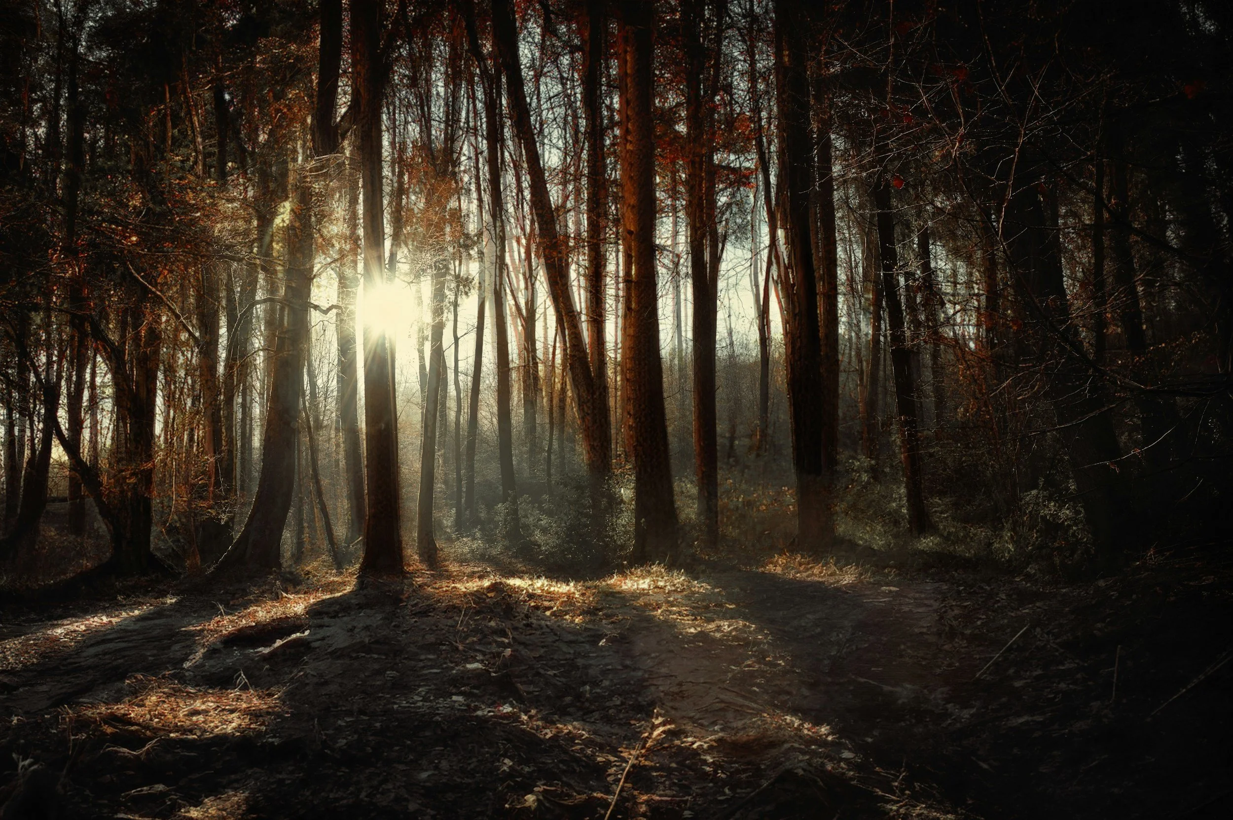 Burnout: My Sacred Interruption