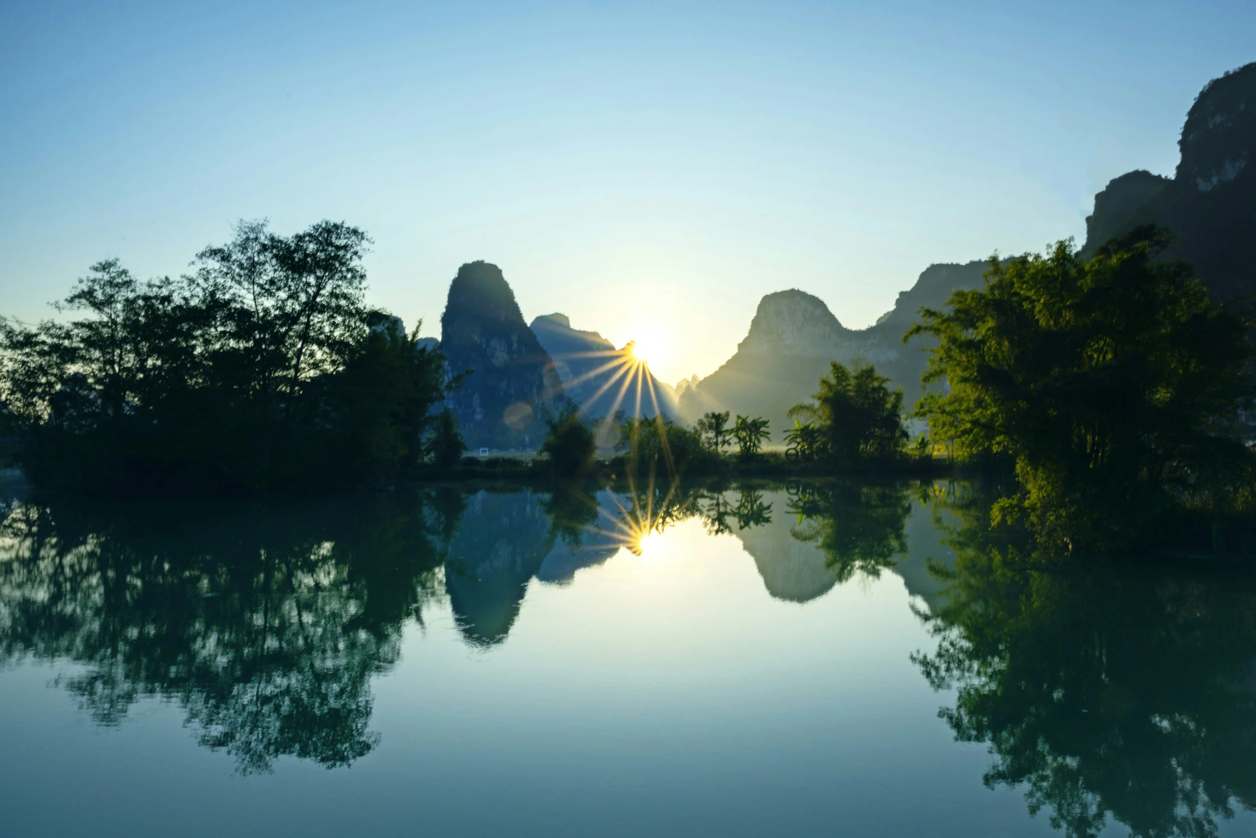 The Logic My Body Was Obeying