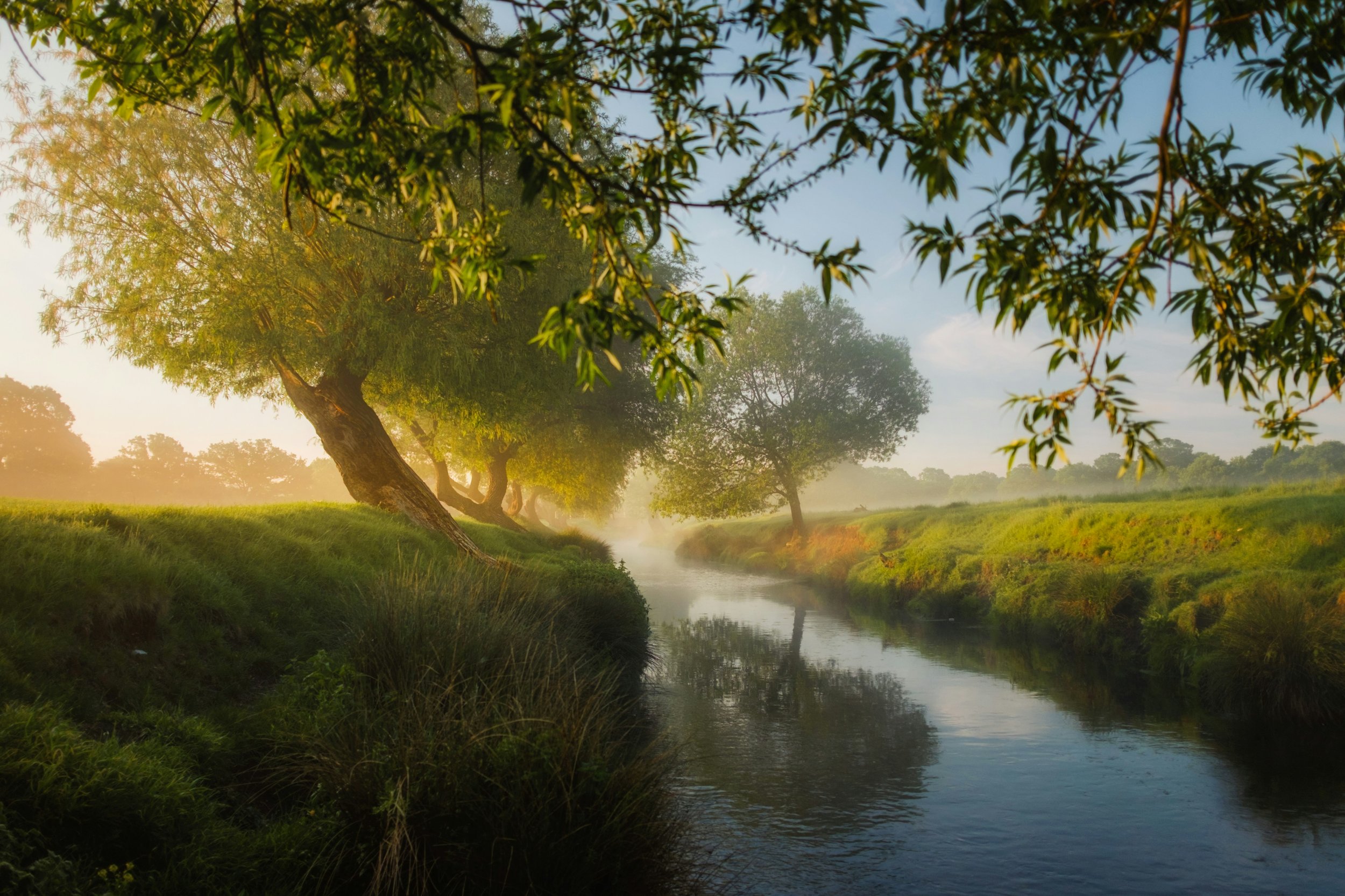 On Dreams, Jung, Self, and Soul