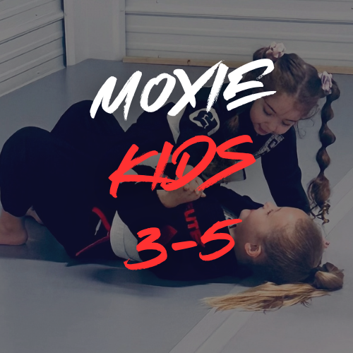 kids jiu jitsu 3-5 lancaster pa