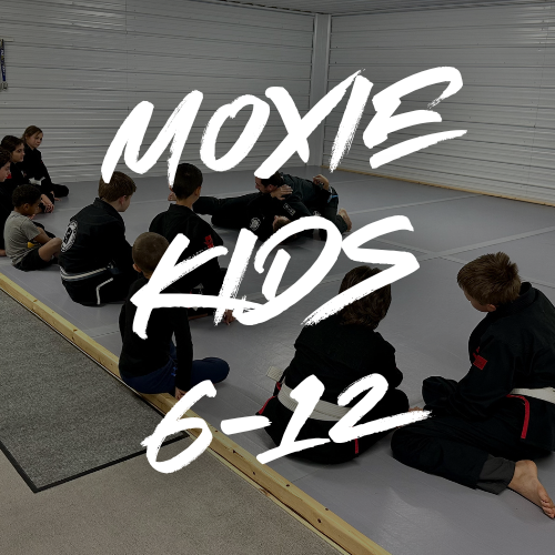 kids jiu jitsu new holland pa 17557