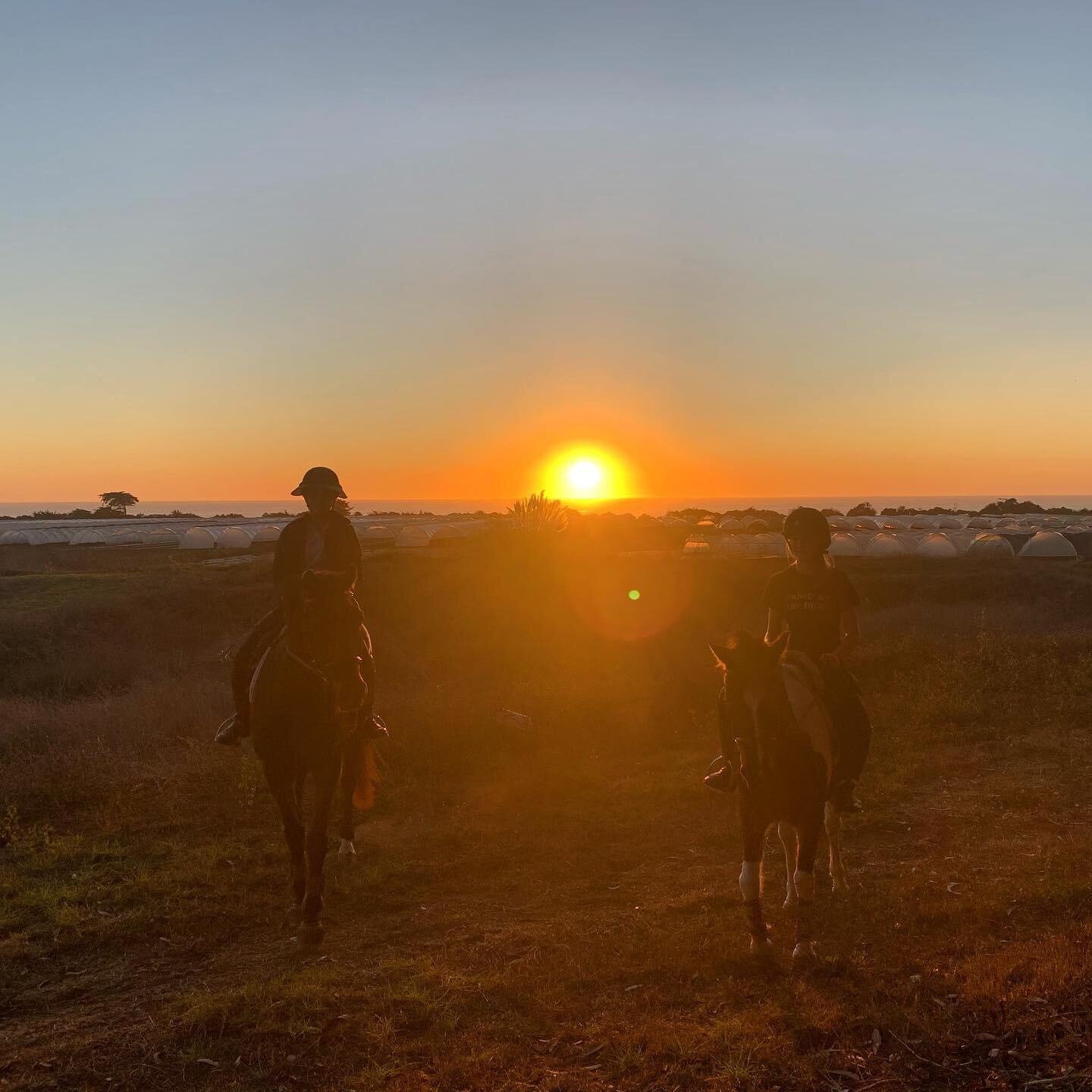 We are definitely enjoying having our sunsets back! 🌅🐴