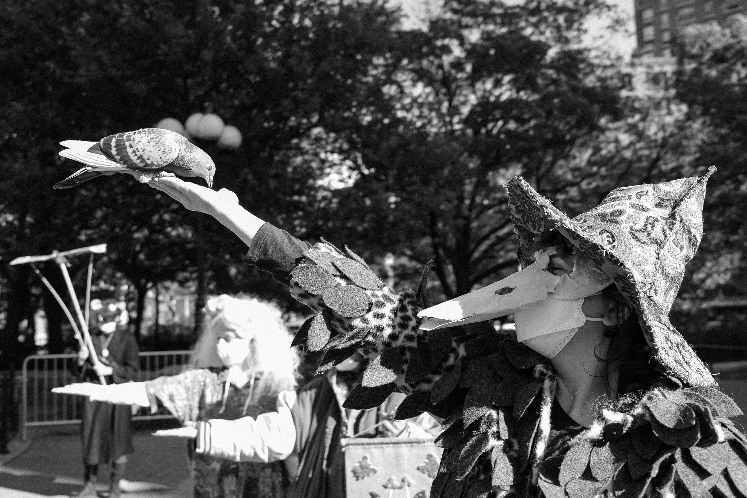 Personal Archive 116.jpg