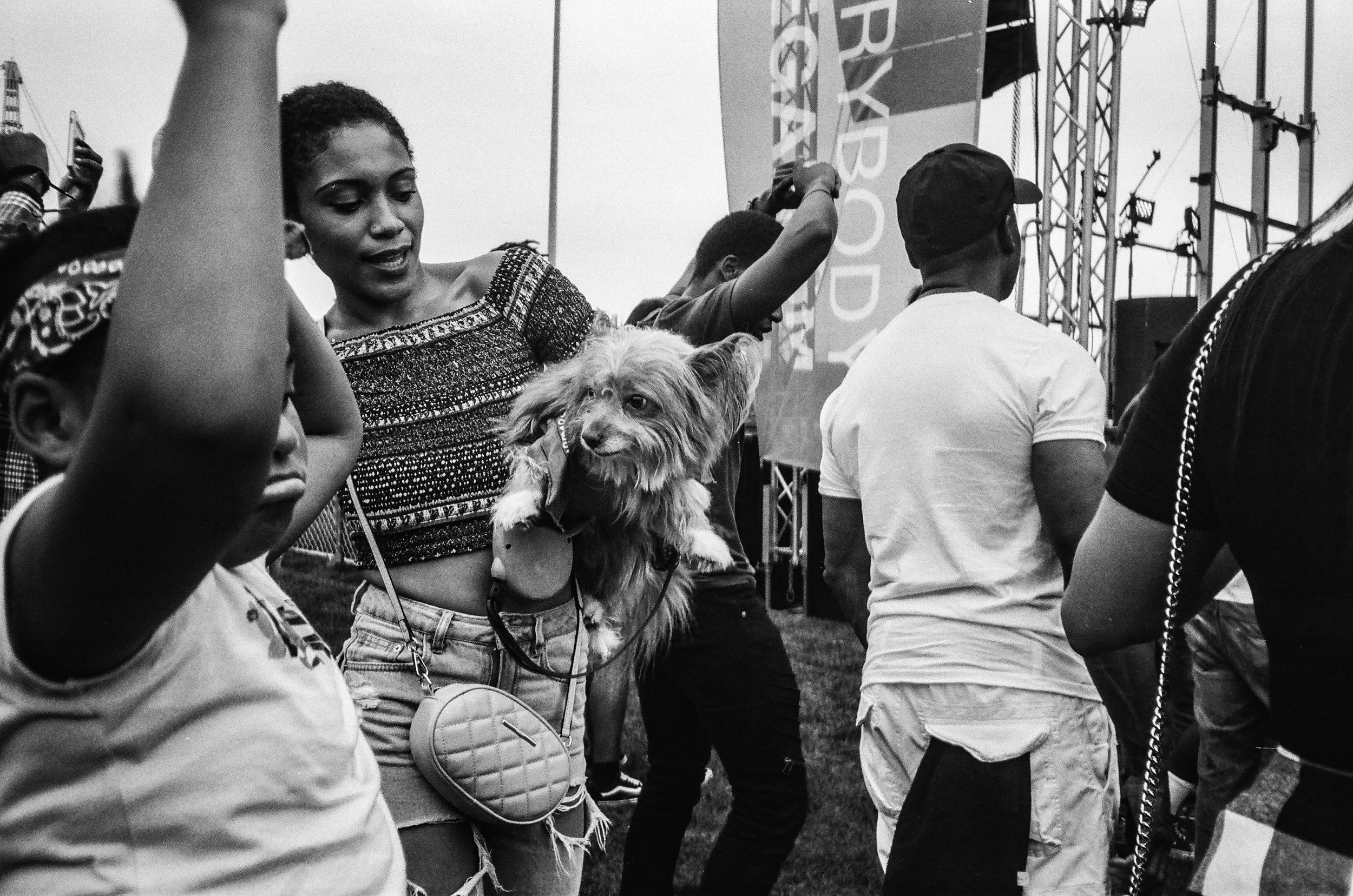 Archive Vegandale copy.jpg