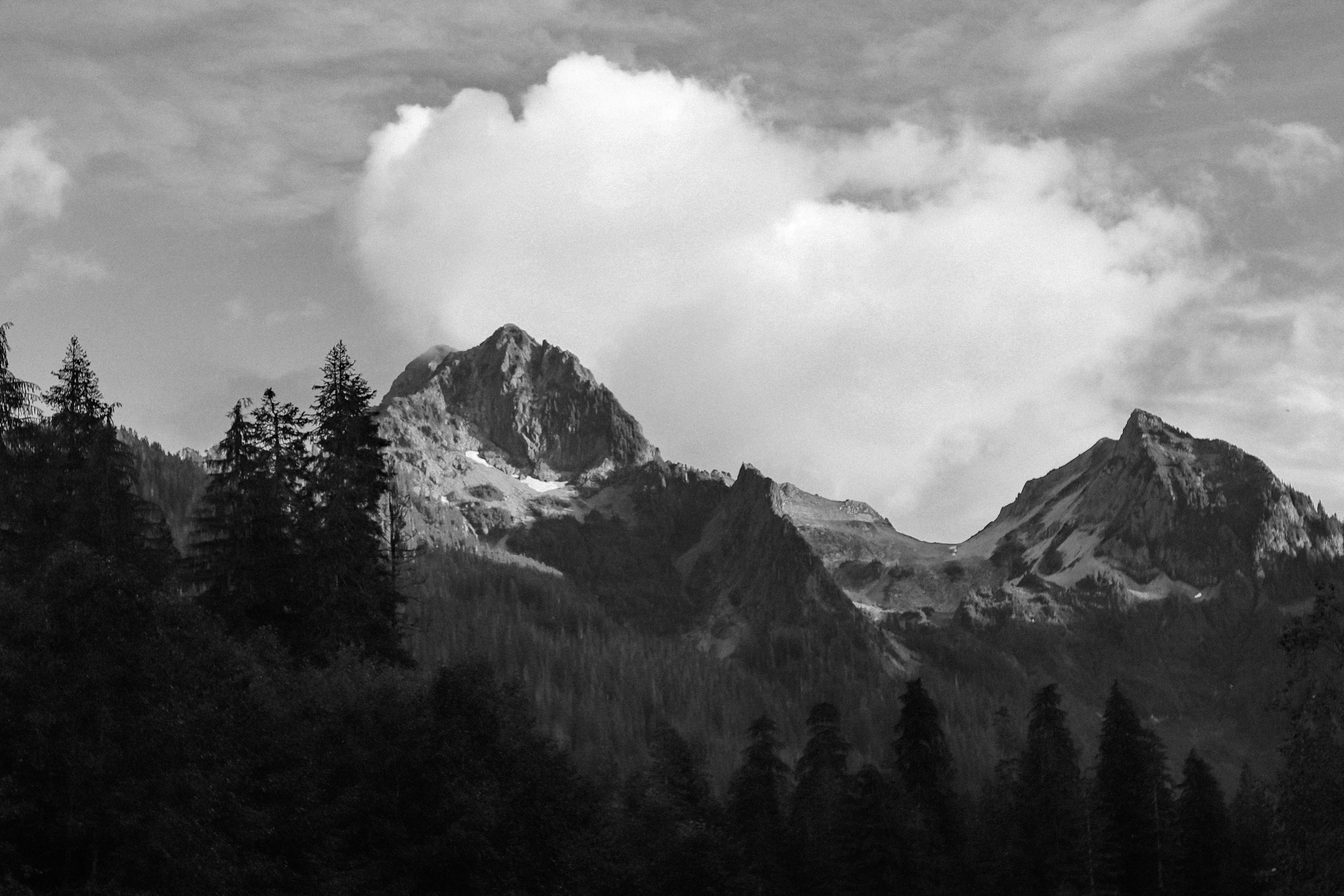 Personal Archive 102.jpg