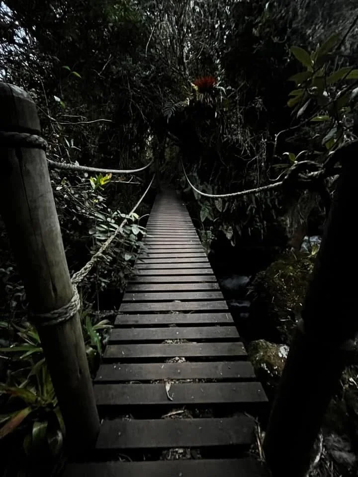 🇪🇨 Papallacta, Ecuador - 04.15.2023