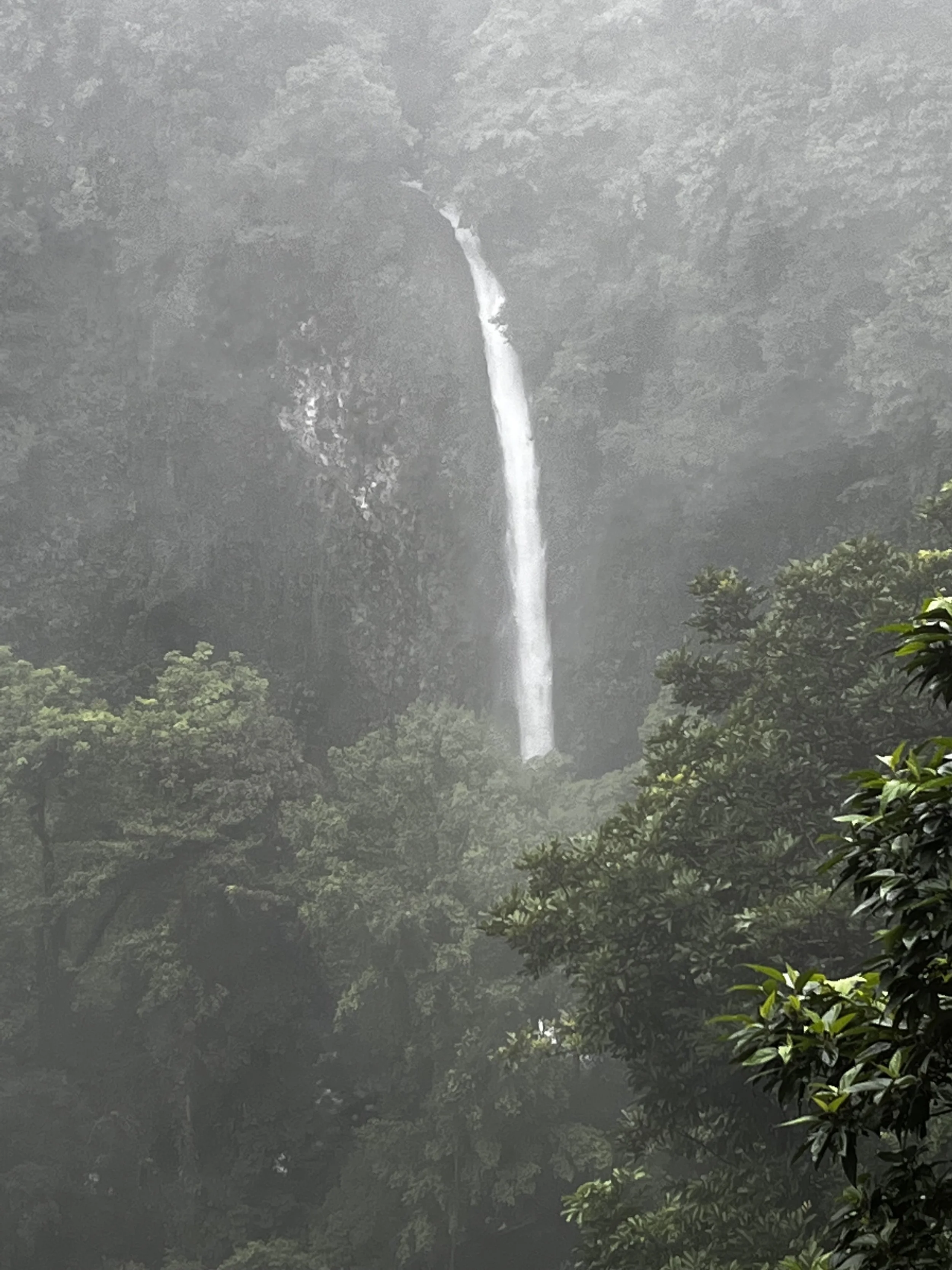 🇨🇷 Costa Rica - San Carlos  12.24.23