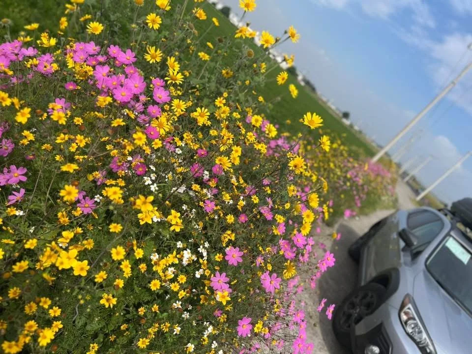 🇲🇽 Tepoztlán - “Estás Lejos, Amigo!” - 10.13.2025