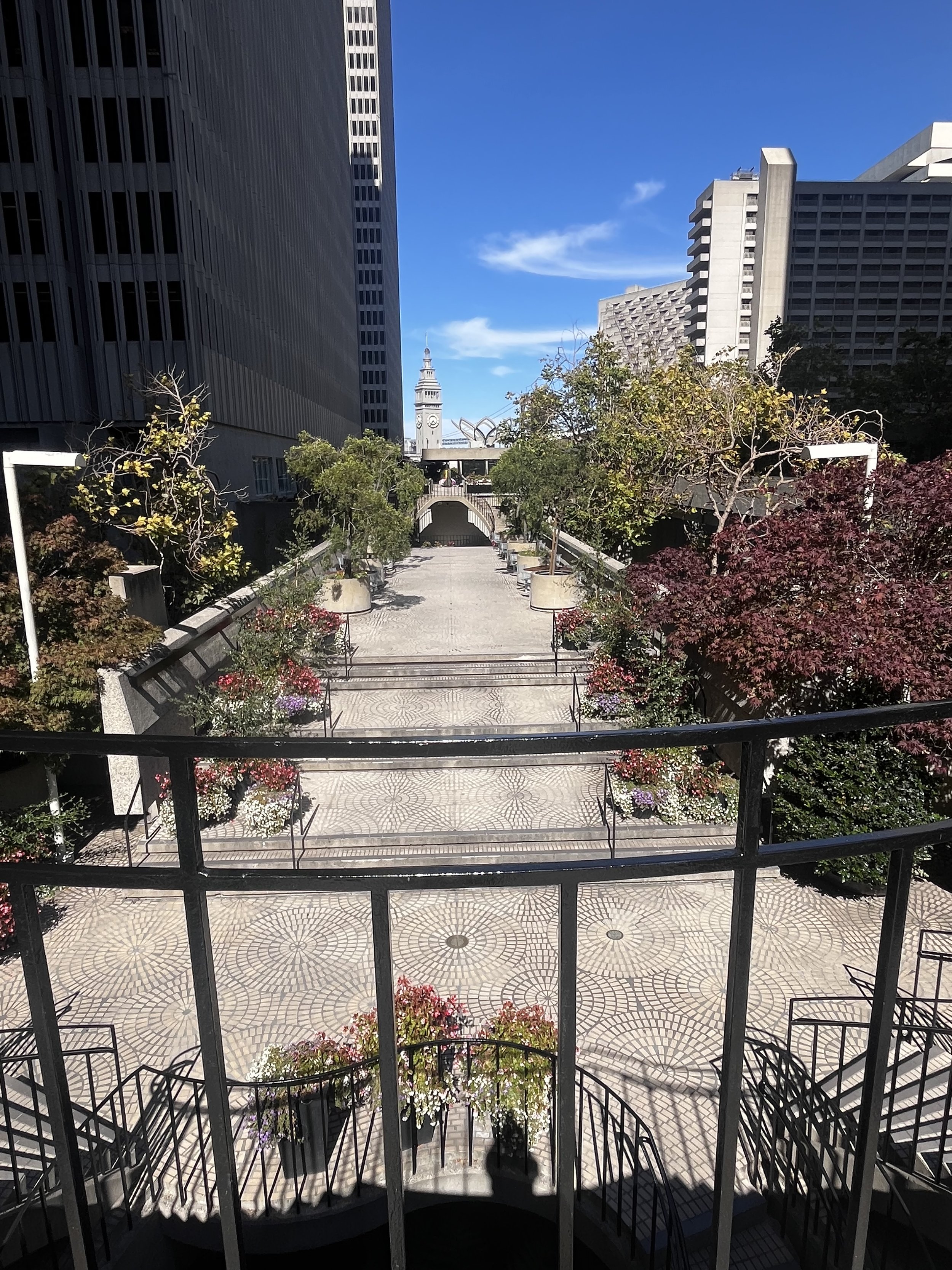 IMG_4391.jpeg