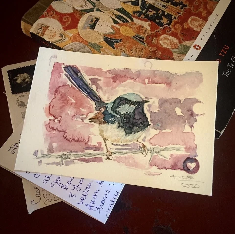 IMG_3465.jpeg