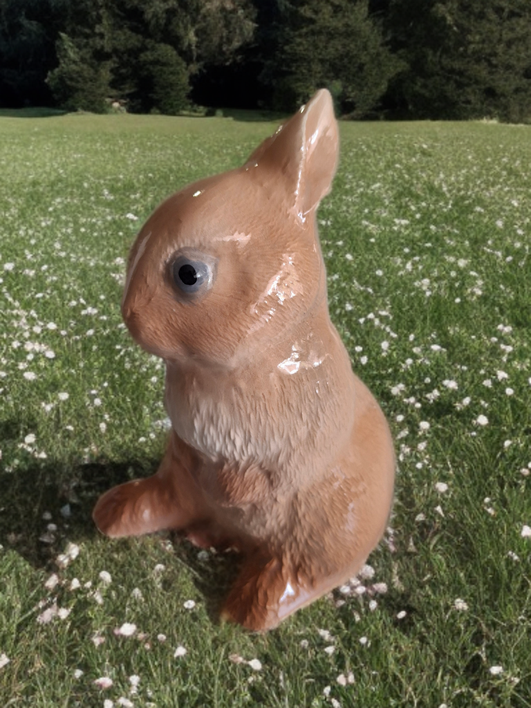 bog eye bunny.png