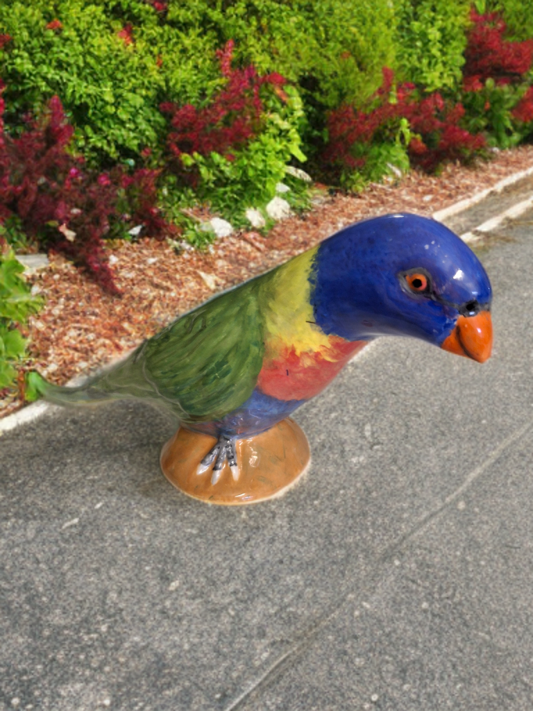Lorikeet 1.png