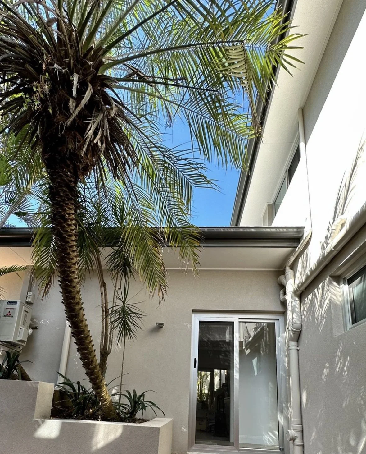 A backyard patio with a tall potted palm tree, sliding glass door, and a small window, with an overhead porch and part of a modern white house exterior. The sky is blue with some clouds.
