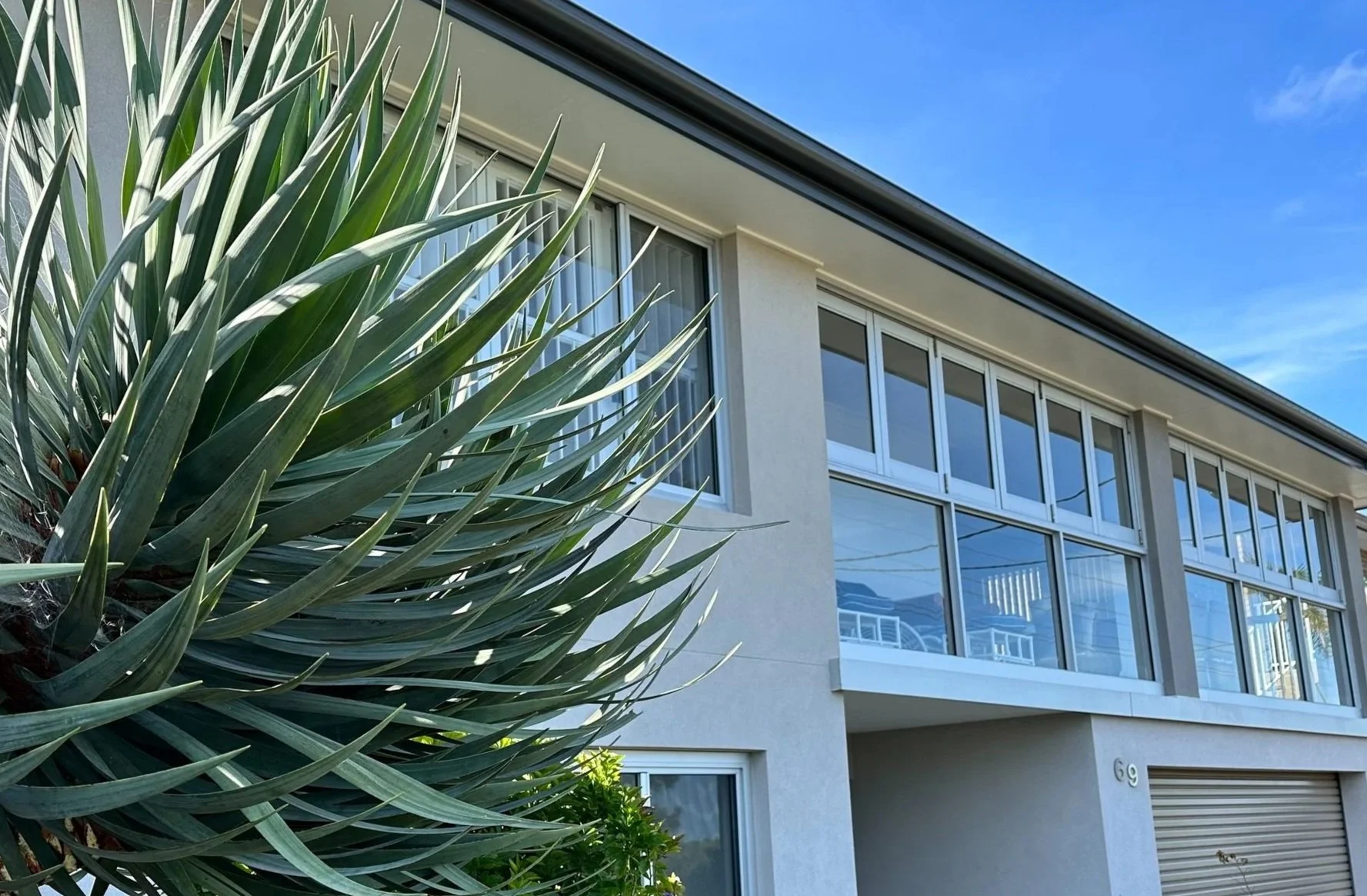 A modern two-story house with large windows and a white exterior. In the foreground, there is a large, spiky green plant, possibly a type of yucca or agave, partially obscuring the house. The sky is blue with some clouds.